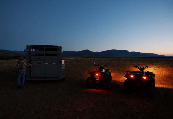 Grizzly Moth Site